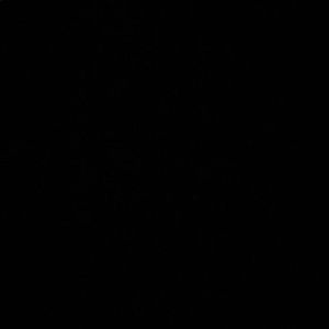 Meet your Posher, Javier